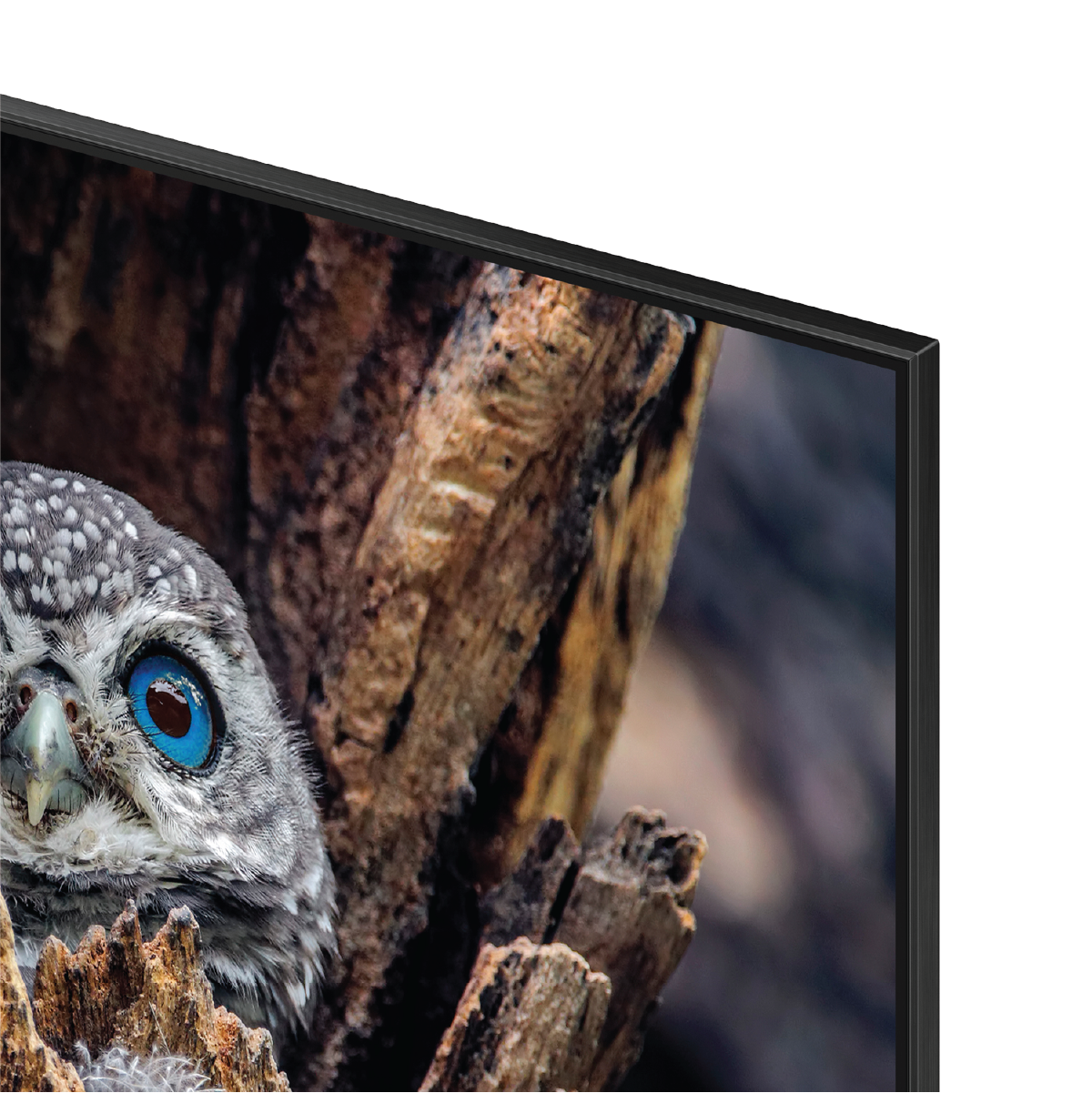 Samsung 75" Class QLED 4K Smart TV Q80D (2024) - QN75Q80DAFXZA