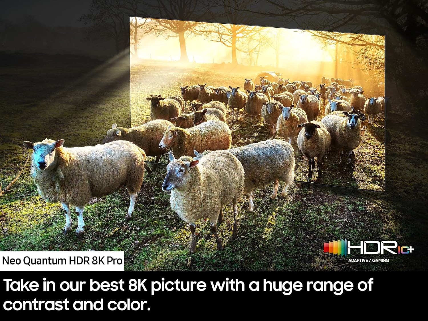 Samsung 75" Class Neo QLED 4K Smart TV QN900D (2024) - QN75QN900DAFXZA