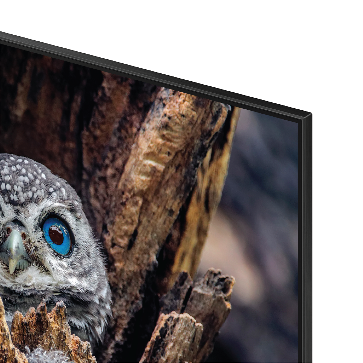 Samsung 85" Class QLED 4K Smart TV Q80D (2024) - QN85Q80DAFXZA